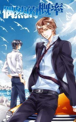 偶然的概率 中封面