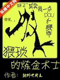 猥琐的炼金术士封面