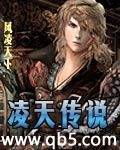 凌天传说封面
