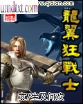 龙翼狂战士封面