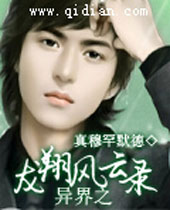 异界之龙翔风云录封面