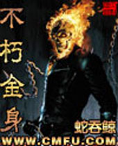 不朽金身封面