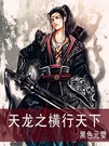 天龙之横行天下封面