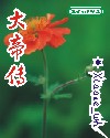 大帝传 大帝传