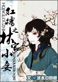 红楼之林家小妾 完整版 红楼之林家小妾 完整版