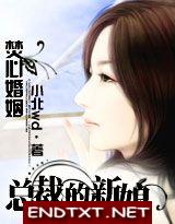 焚心婚姻总裁的新娘封面