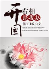 开国右相是我妻封面