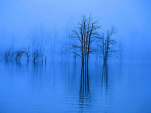 ���ö���