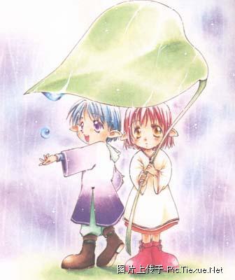 记忆走失的季节封面