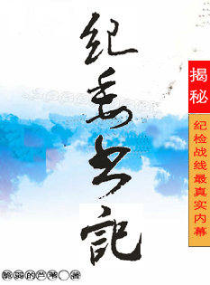 权欲之幕:纪委书记封面