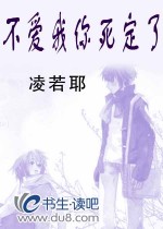 不爱我你死定了封面