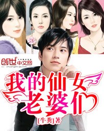 我的仙女老婆们 我的仙女老婆们