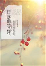 日落前等你封面