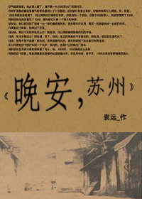 晚安,苏州封面