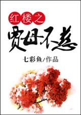 红楼之贾母不慈 红楼之贾母不慈