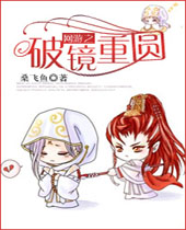 网游之破镜重圆封面