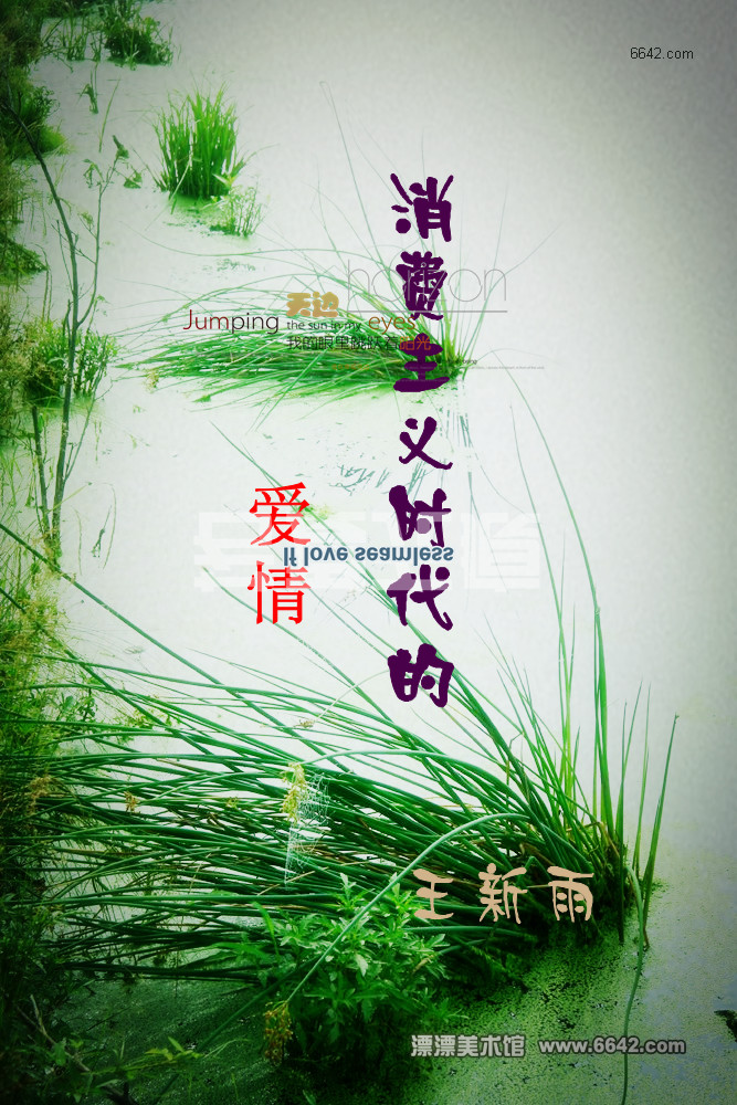 消费主义时代的爱情封面