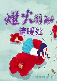 灯火阑珊情暖封面