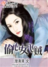 偷心女飞贼封面