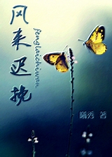 风来迟挽封面