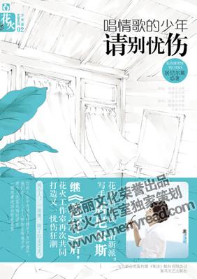 唱情歌的少年请别忧伤封面