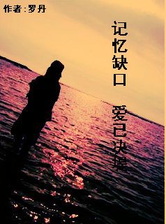 记忆缺口,爱已决堤封面