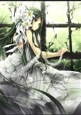 ������������˧����������