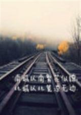 南城以南繁花似锦封面