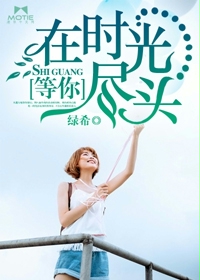 在时光尽头等你封面