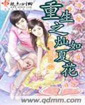 重生之灿如夏花 重生之灿如夏花