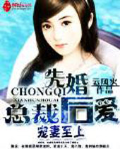宠妻至上总裁先婚后爱 宠妻至上总裁先婚后爱