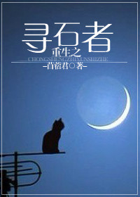 重生之寻石者 重生之寻石者