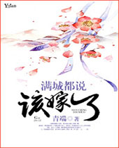 满城都说该嫁了封面