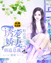 诱宠娇妻霸道总裁轻点爱封面