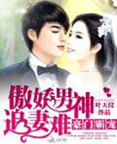 豪门霸宠傲娇男神追妻难封面