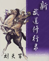 新武道修行录 新武道修行录