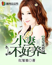 惹爱成婚小妻不好养封面