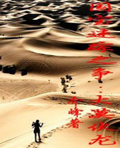 国宝迷踪之争大漠伏龙封面