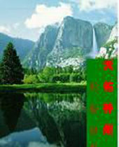 �������ݷ���