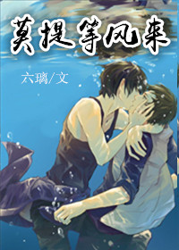 莫提等风来封面