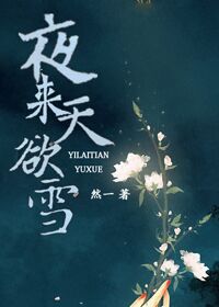夜来天欲雪封面