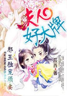 邪王独宠顽妻:夫人好大牌封面