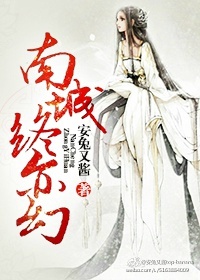南城终亦幻封面