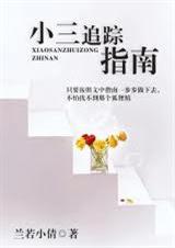 小三追踪指南封面