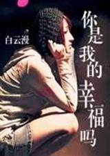 我是你无处安放的往事封面