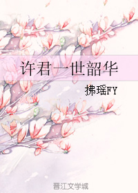 许君一世韶华封面