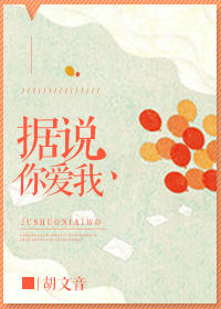 据说你爱我封面