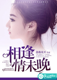 相逢情未晚封面